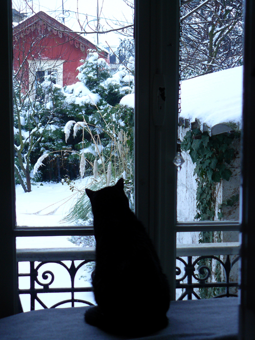Chat